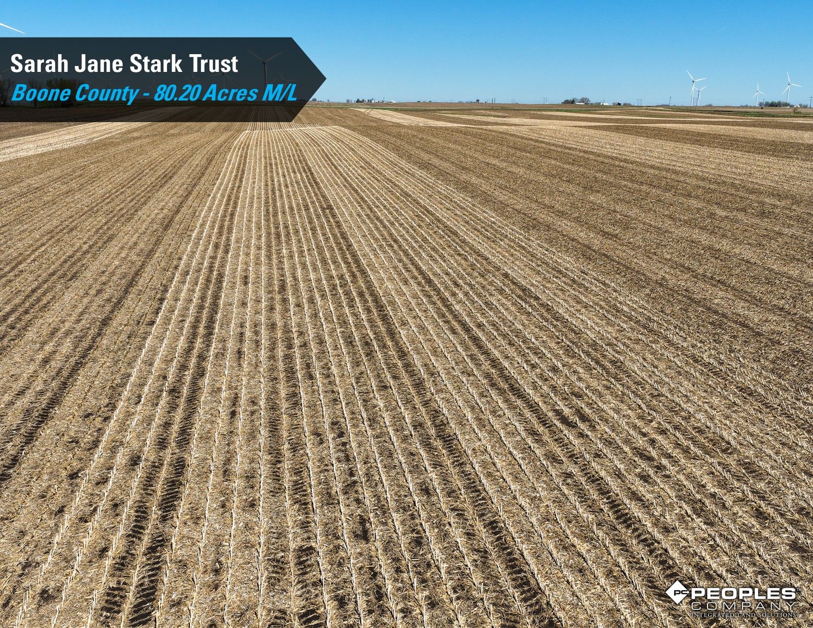 Listing Photo: Boone-County-Iowa-Farmland-Auction-80.20-Acres-Stark-Trust-Ogden (14)